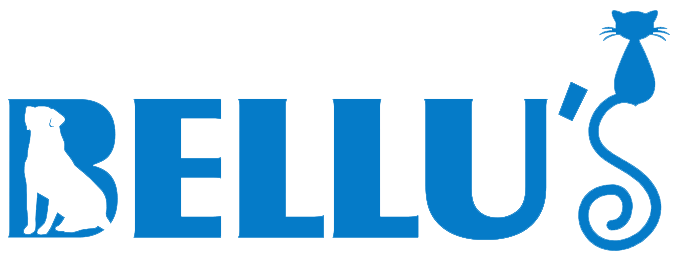 Logo Bellus Clínica Veterinária